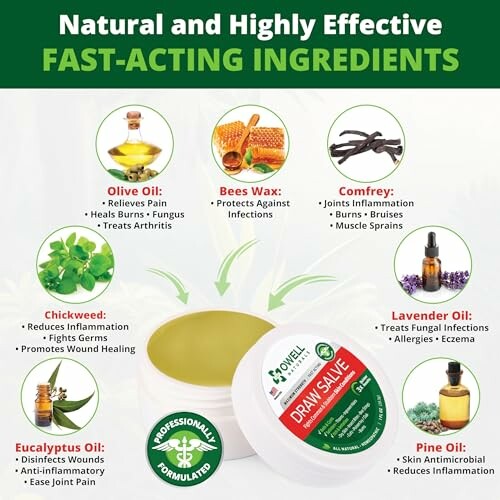 Infographic of natural fast-acting ingredients in a salve, including olive oil, beeswax, comfrey, chickweed, lavender oil, eucalyptus oil, and pine oil.